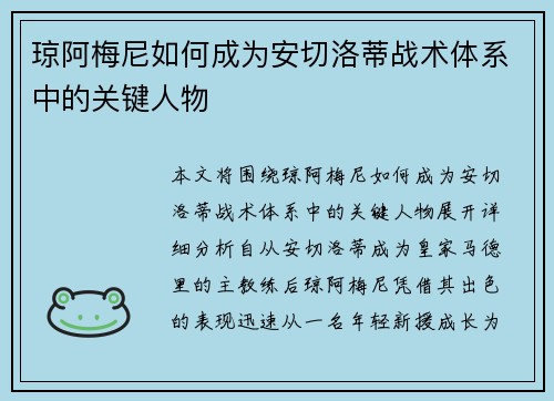 琼阿梅尼如何成为安切洛蒂战术体系中的关键人物
